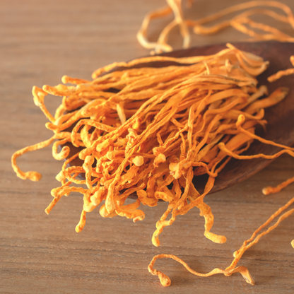 DRIED CORDYCEPS MUSHROOM